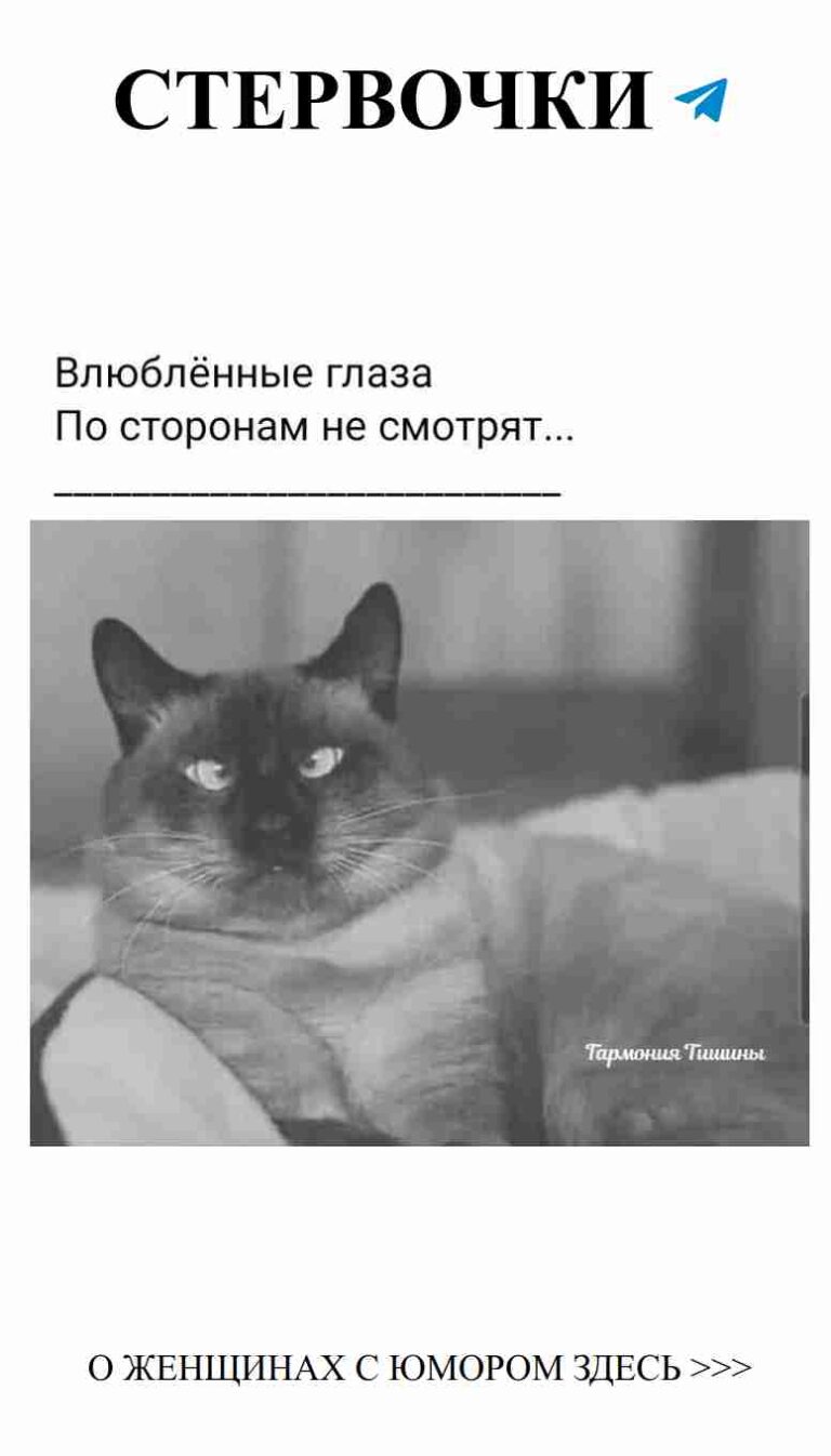 Любовь и смех: когда сердце смеется вместе с ним