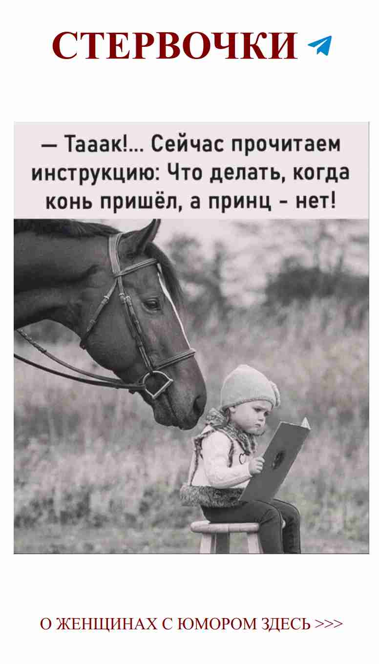 Смех и любовь: как большие кони покоряют женские сердца