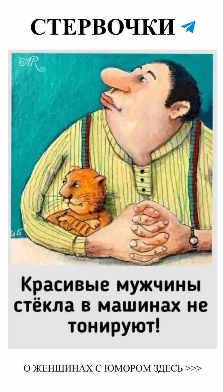 Мужчина с котом: юмор о любви, который рассмешит вас