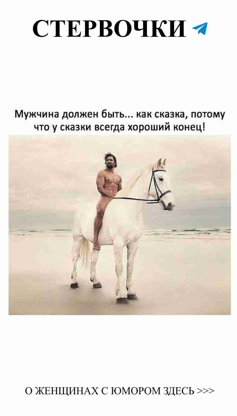 Когда любовная лошадь уходит с пляжа в закат