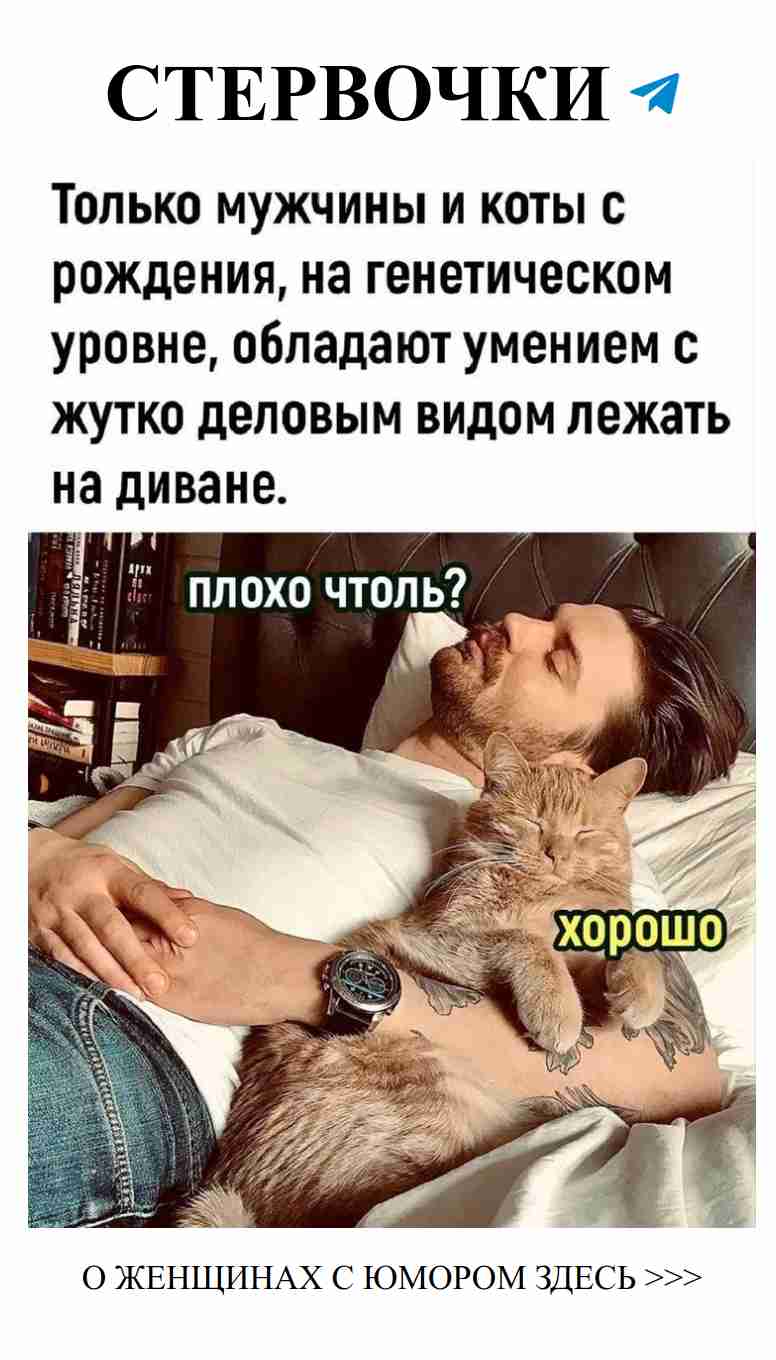 Когда твой кот лучше тебя заботится о любви