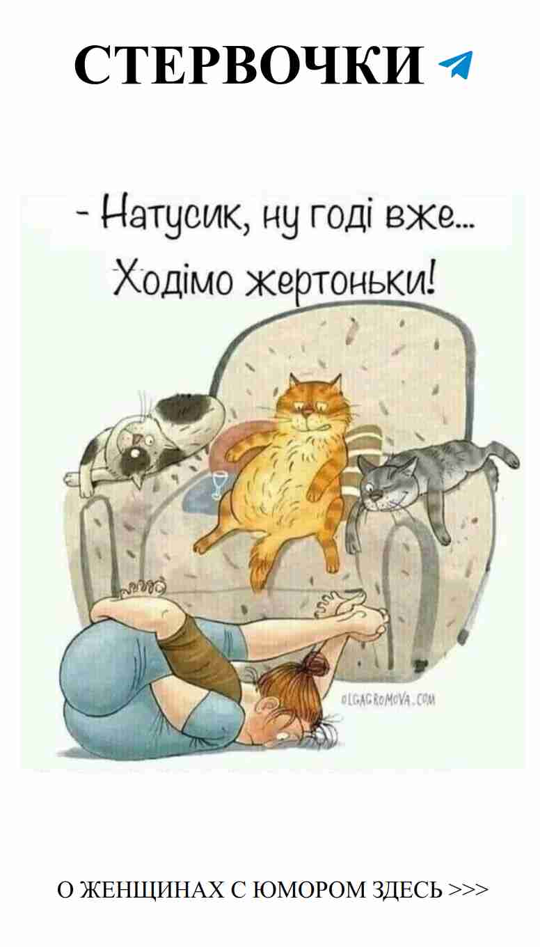 Когда кошка решает, кто главный на диване