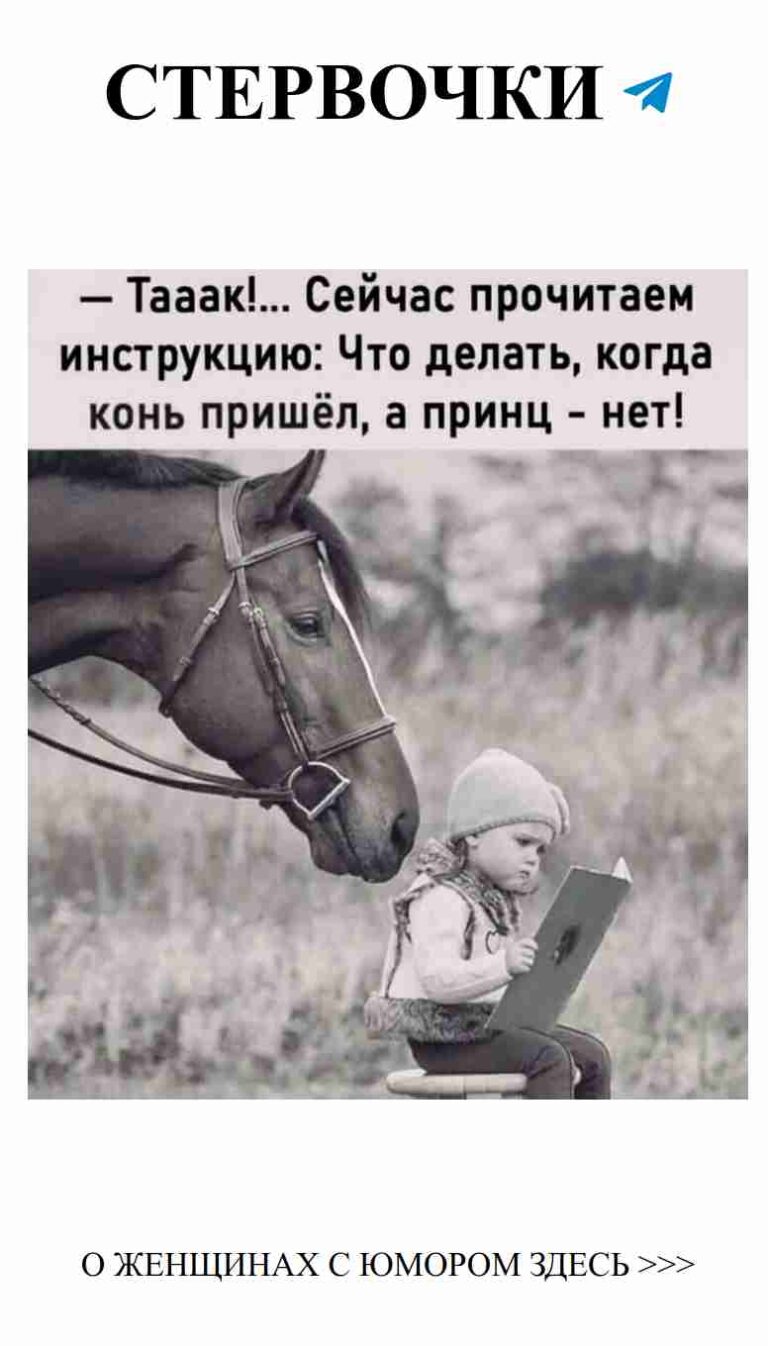 Мишка с юмором: любовь в каждом взгляде