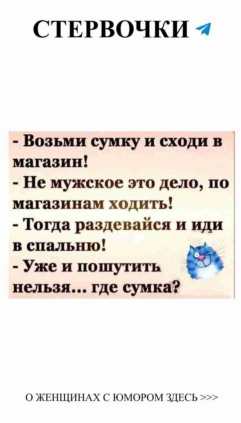 Синий кот: любовь и юмор в каждой детали