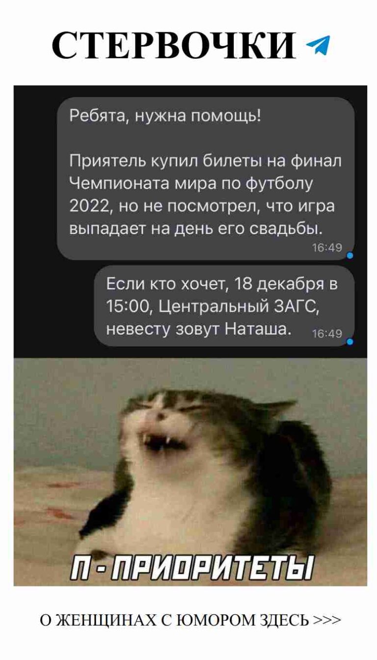 Кот, который устал от любви и отдыхает