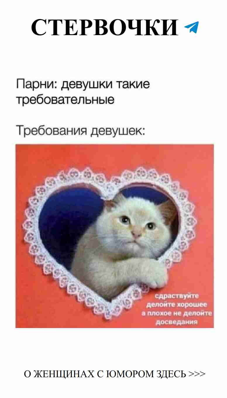 Милые коты и забавные моменты о любви