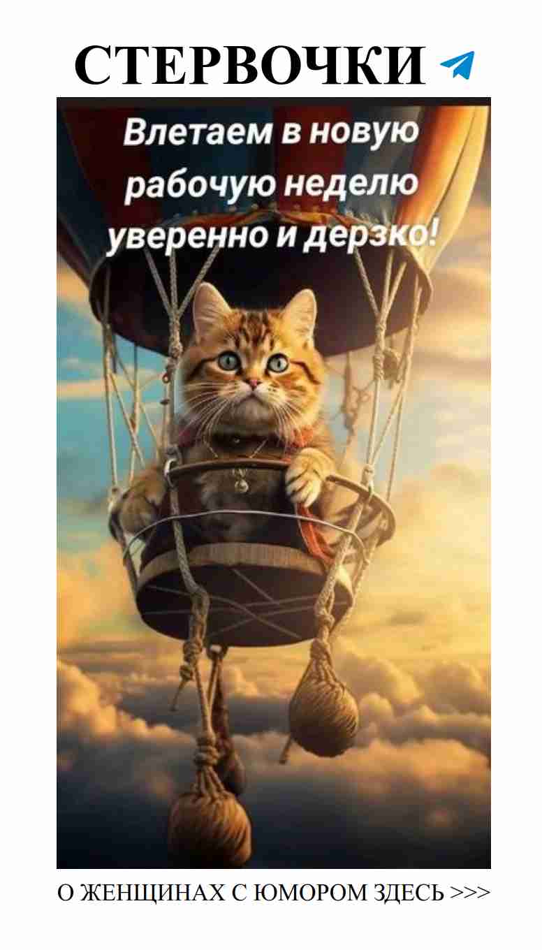 Кот в воздушном шаре – идеальный подарок для любимой