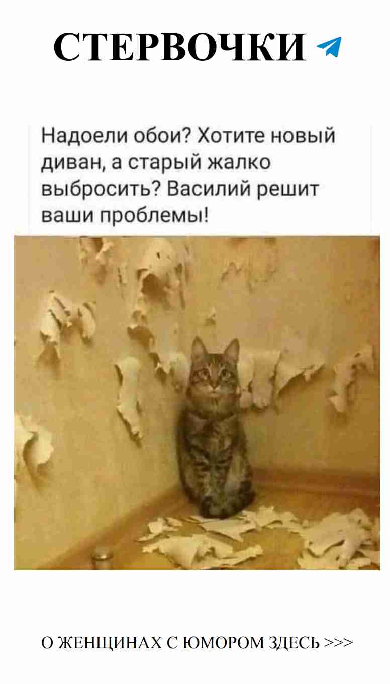 Когда кот решает, что пол – его личная сцена