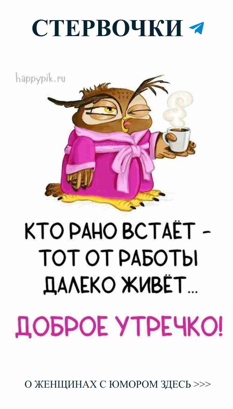 Сова с кофе: утреннее счастье и любовь без границ