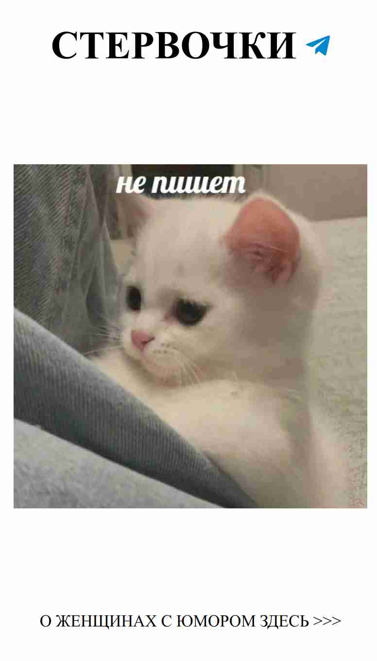 Когда твоя любовь такая же миленькая, как этот котик