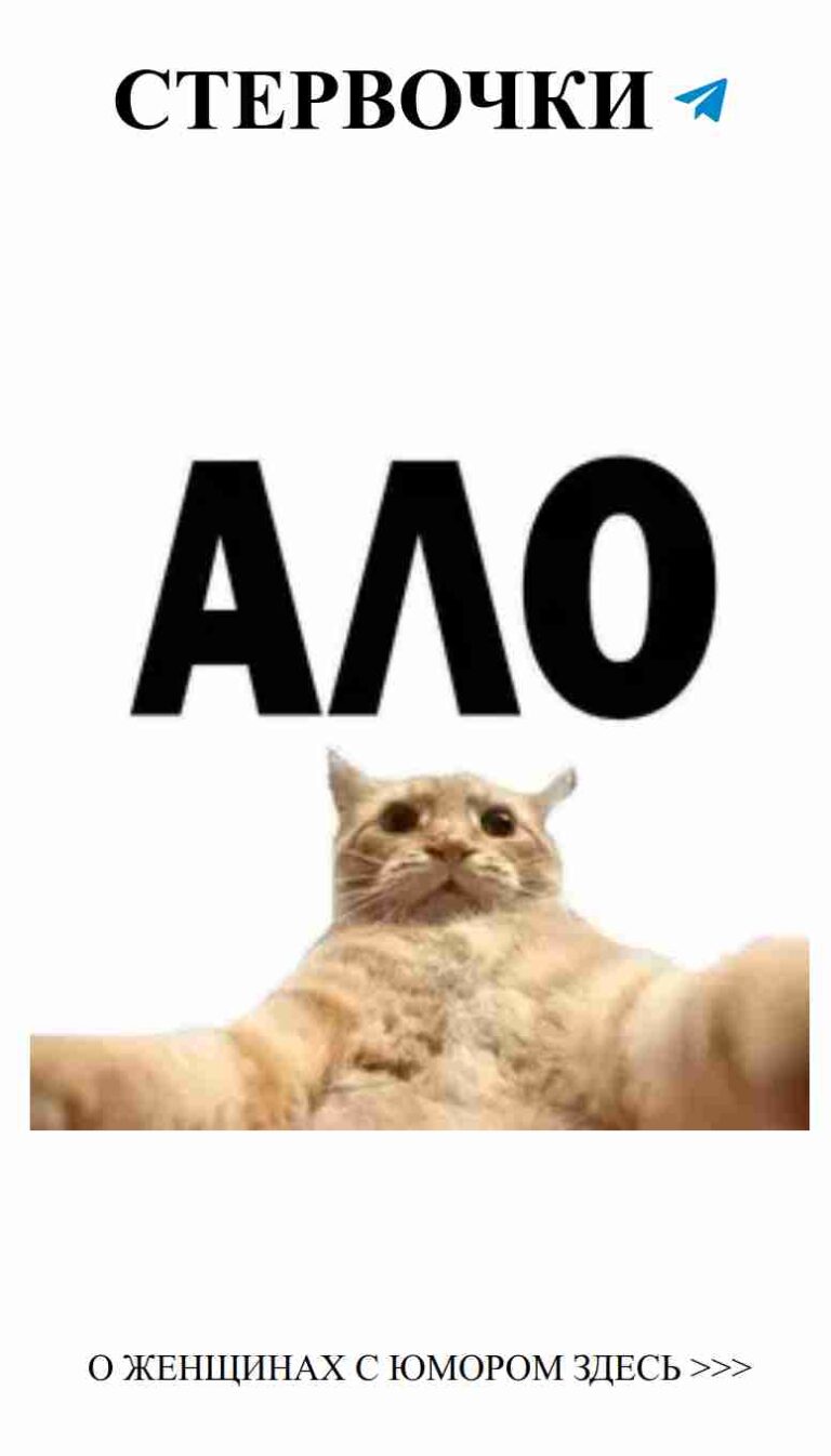 Когда кошки делают забавные вещи, смех поднимается в воздухе