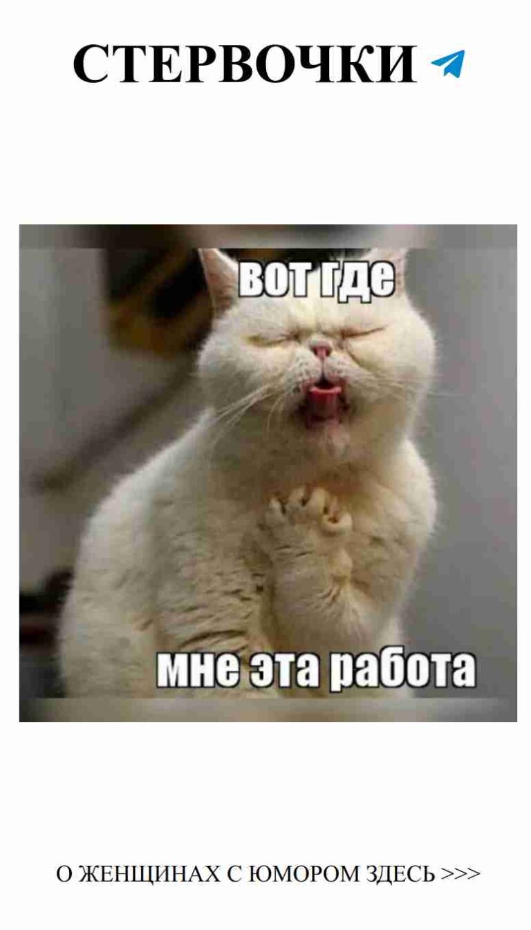 Когда твой кот поймал тебя на туалете в смешном моменте