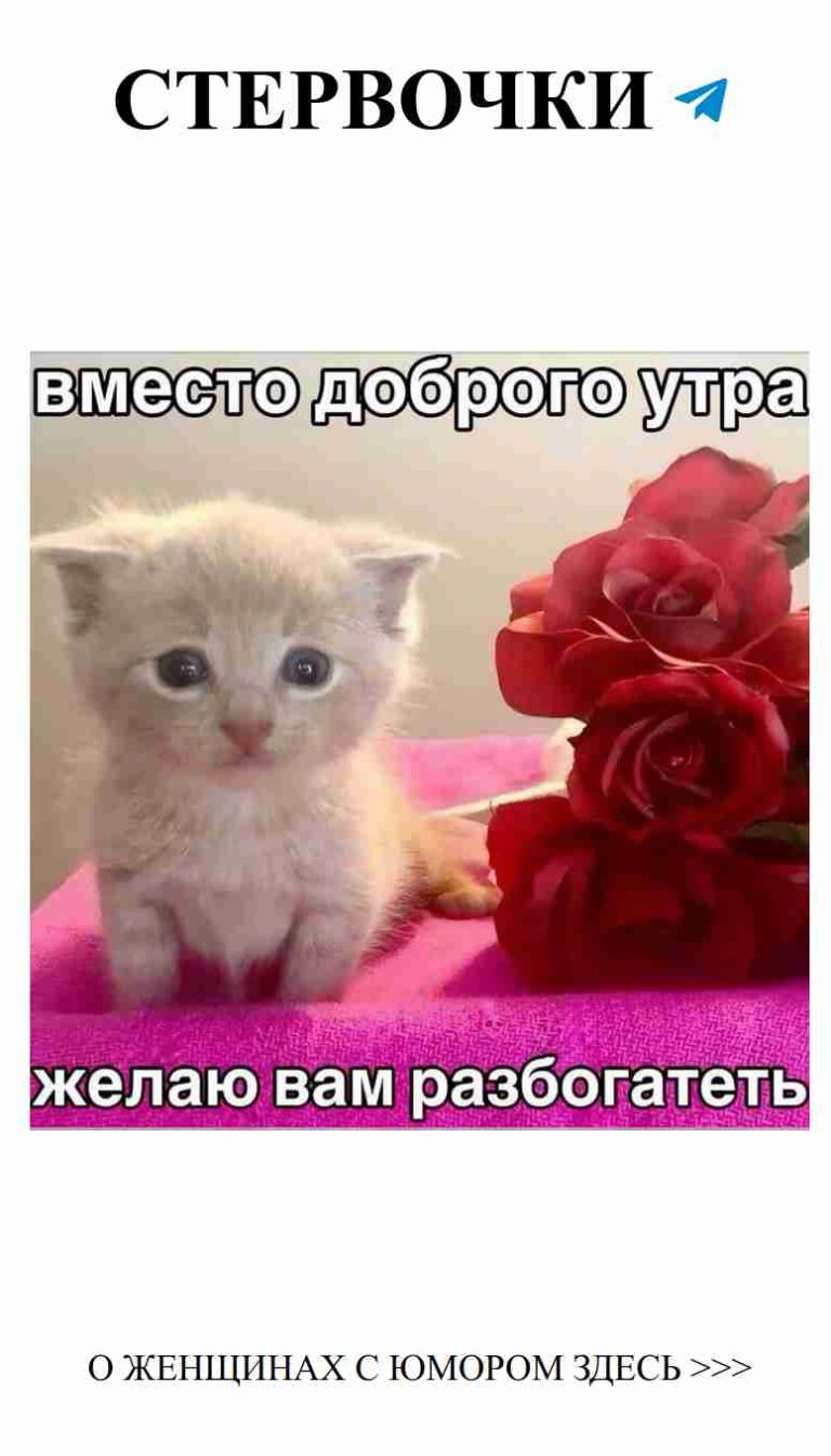 Любовь с юмором: когда сердце смеется без причин