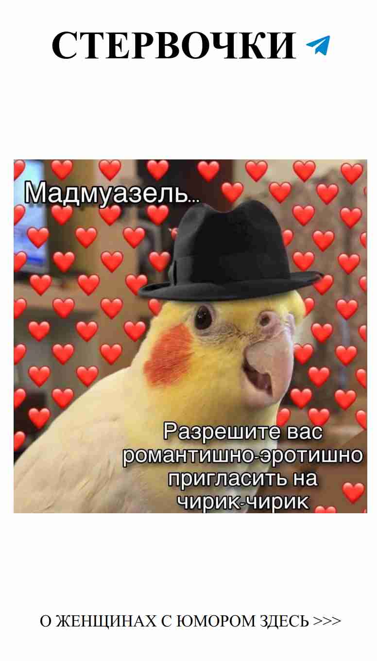 Смешной парашют, который сможет рассмешить всех в любви