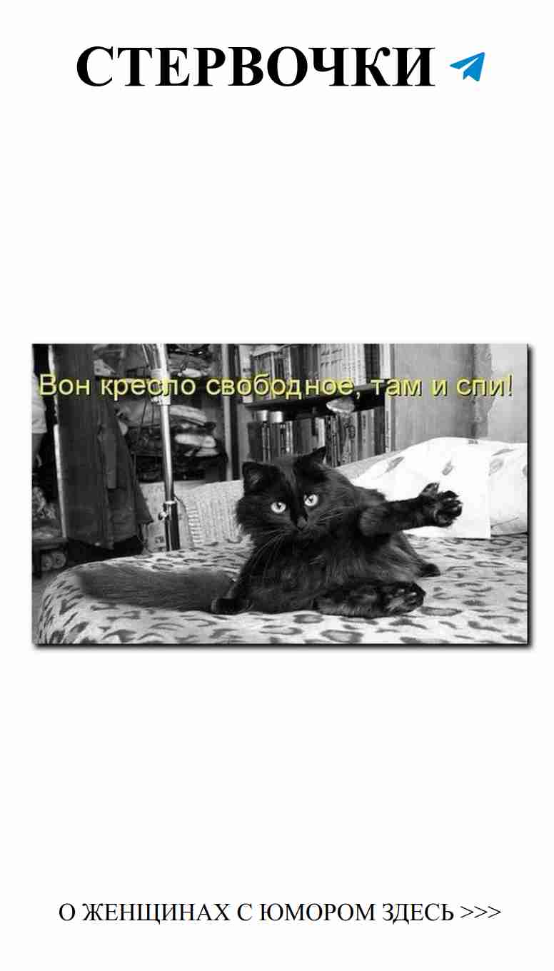 Когда твоя кошка завоевала всю кровать и сердце