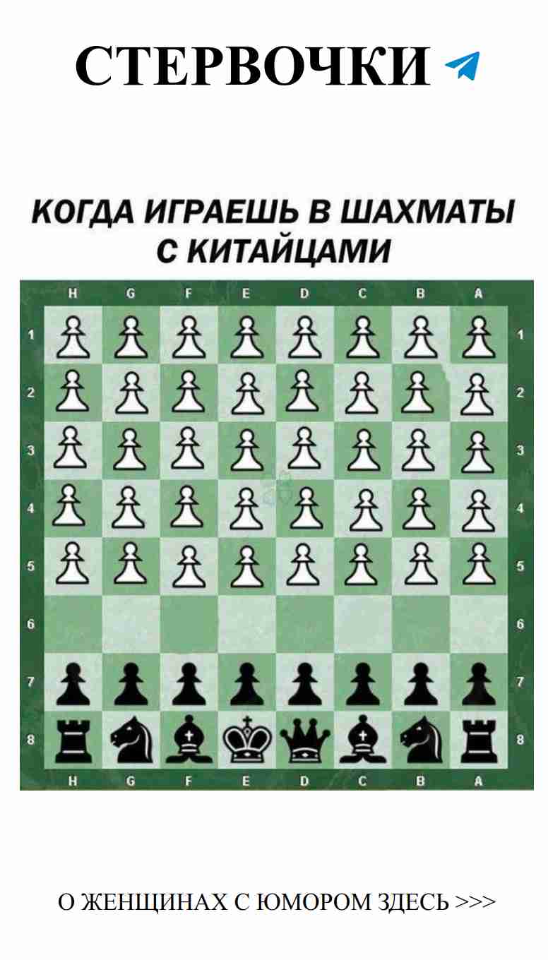 Когда шахматы превращаются в романтическую комедию