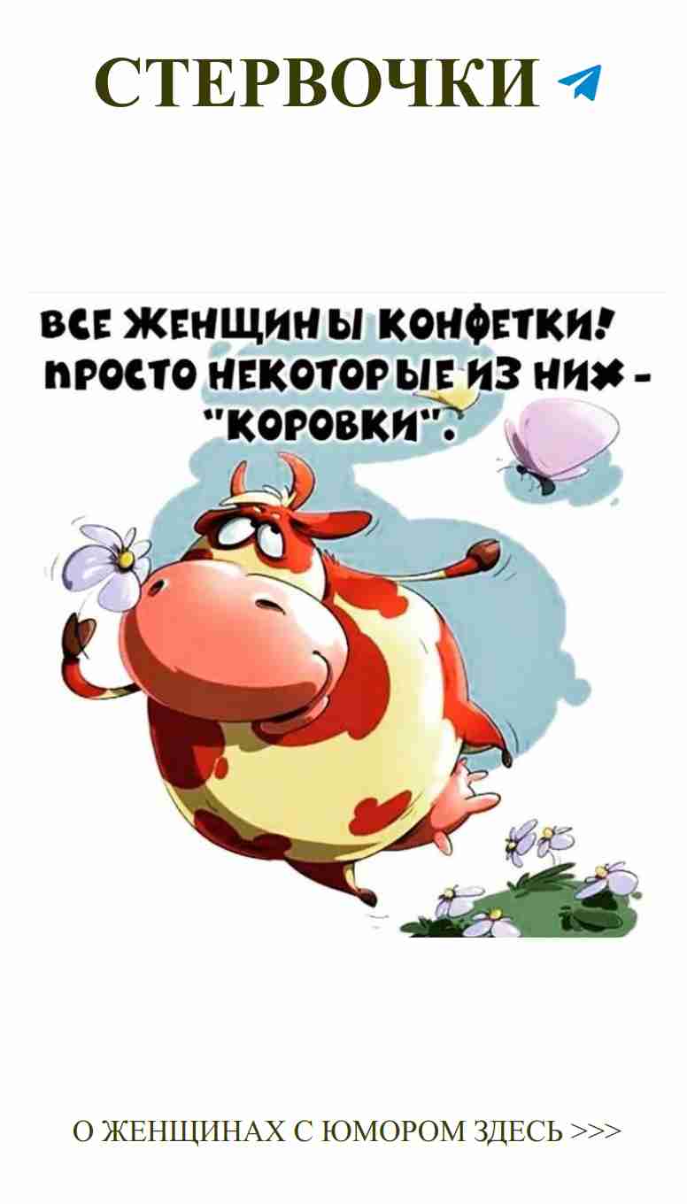 Коровы на облаках: юмор и любовь в каждом вдохе