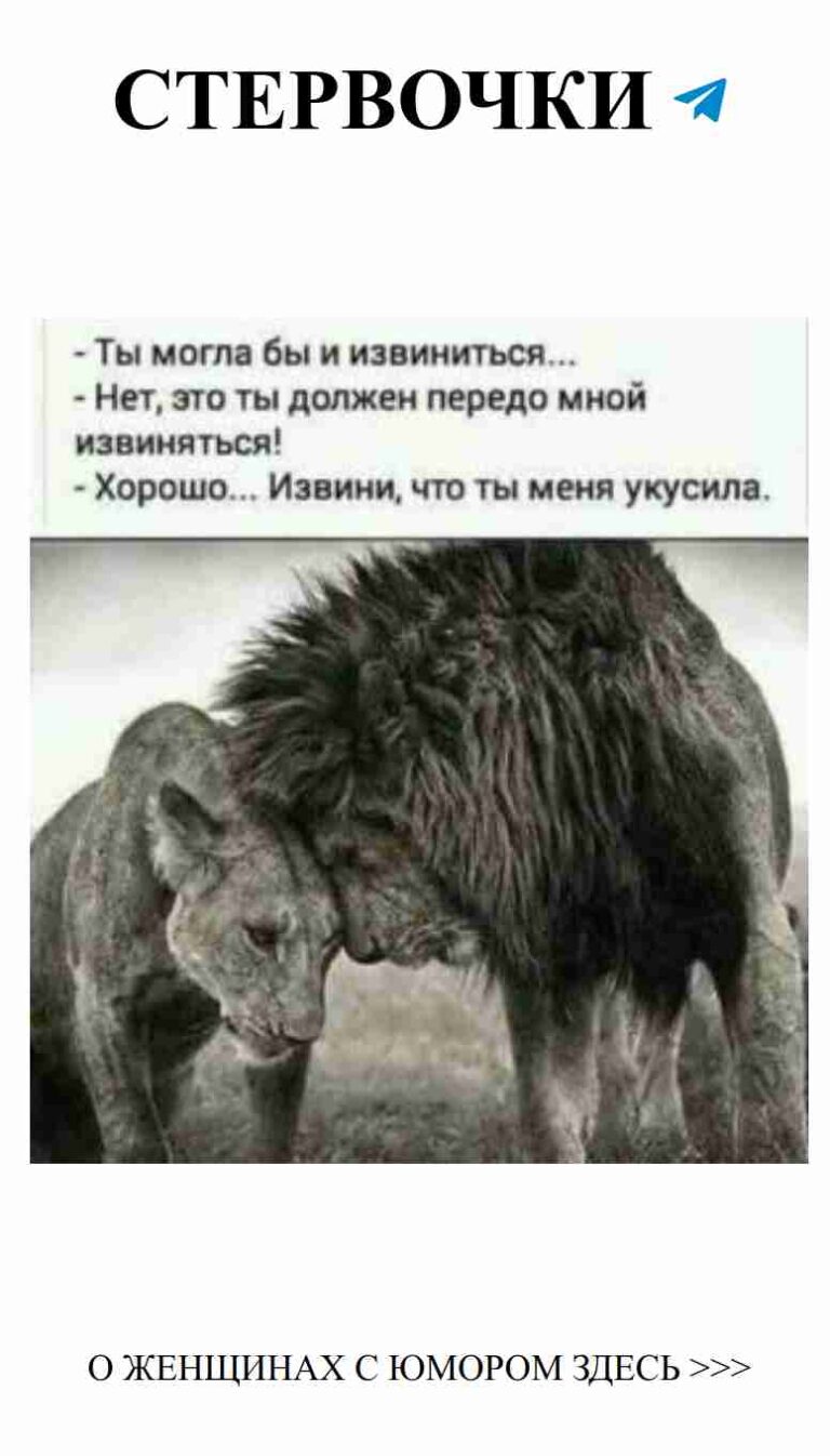 Любовь к животным с юмором для хорошего настроения