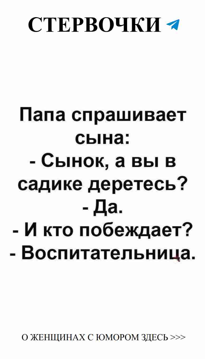 Когда жизнь дает лимоны, добавь кота и шутку про любовь