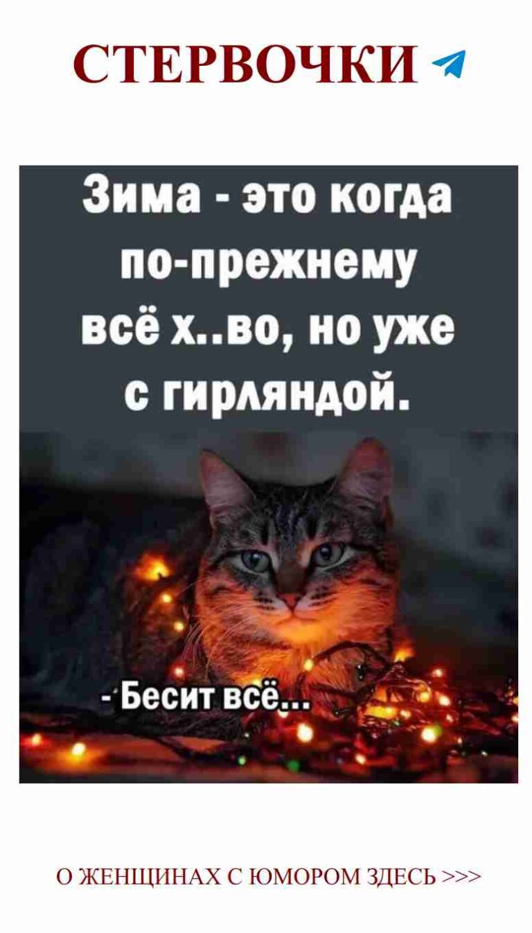 Кот в огнях: как сделать Новый Год веселее