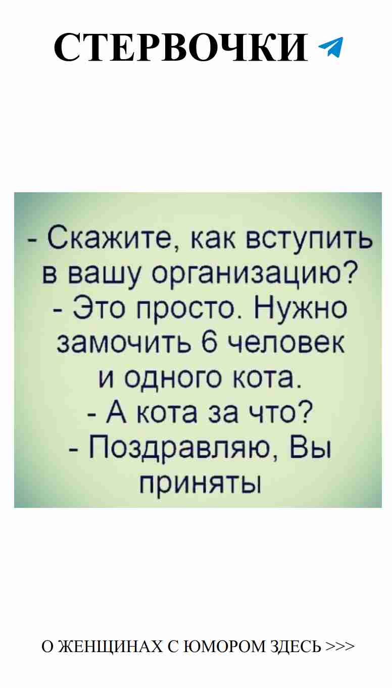 Любовь и юмор: смех спасет даже в самых романтичных моментах