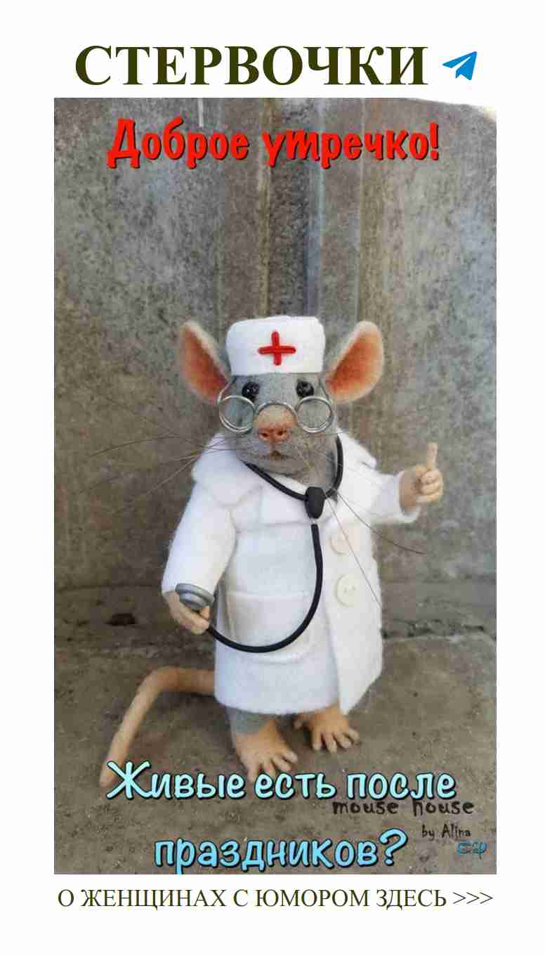 Когда доктор назначает любовь, даже мыши в шоке