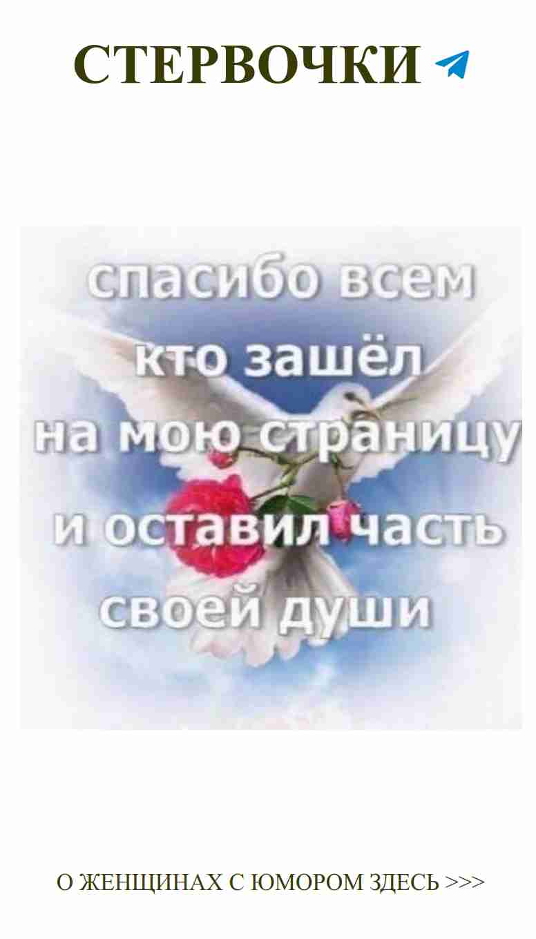 Любовь и юмор: голубь и роза в сердце