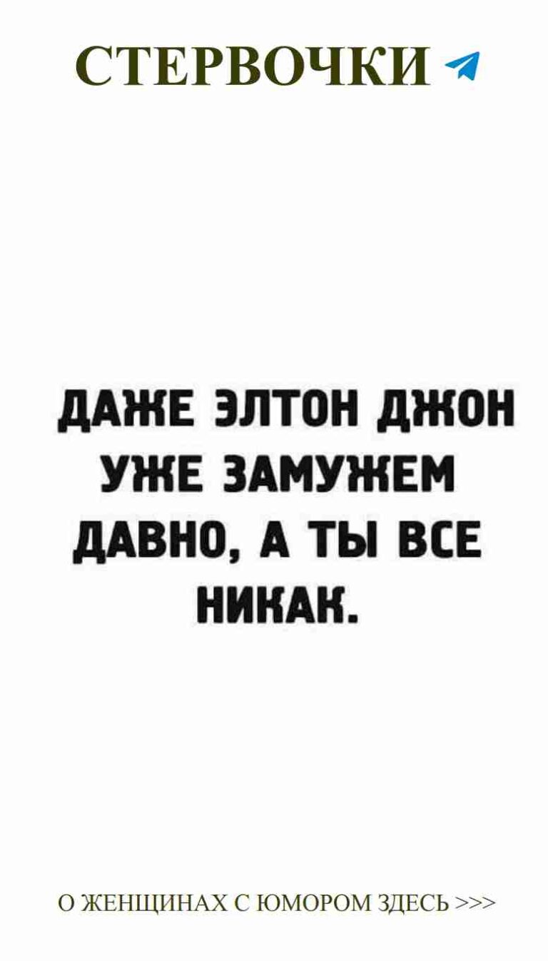 Любовь и смех: черно-белые моменты с забавными животными