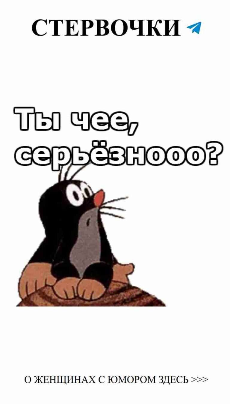 Смешные коты и цитаты про любовь, которые вдохновляют