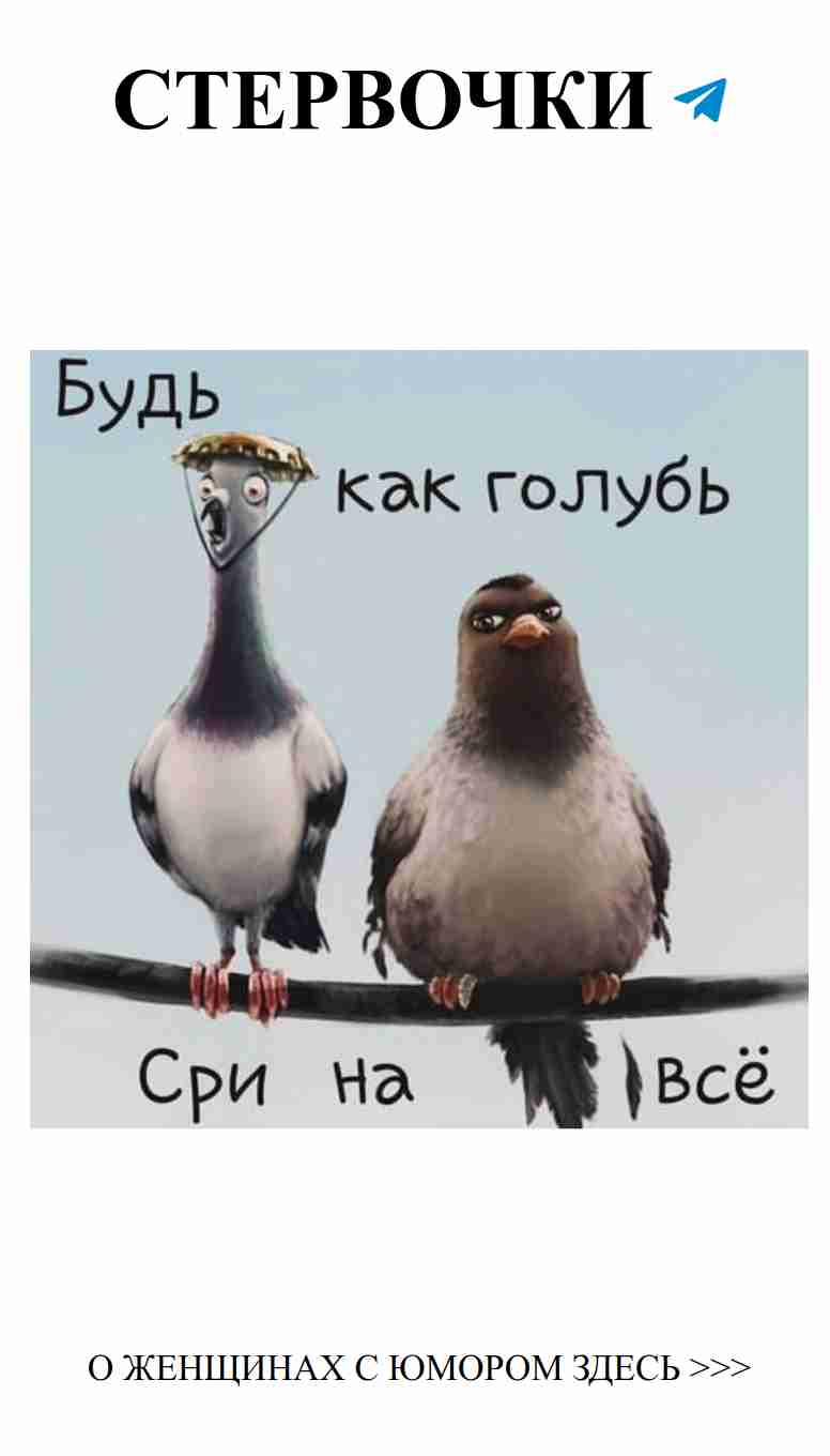 Две птицы: любовь и юмор на одном суку