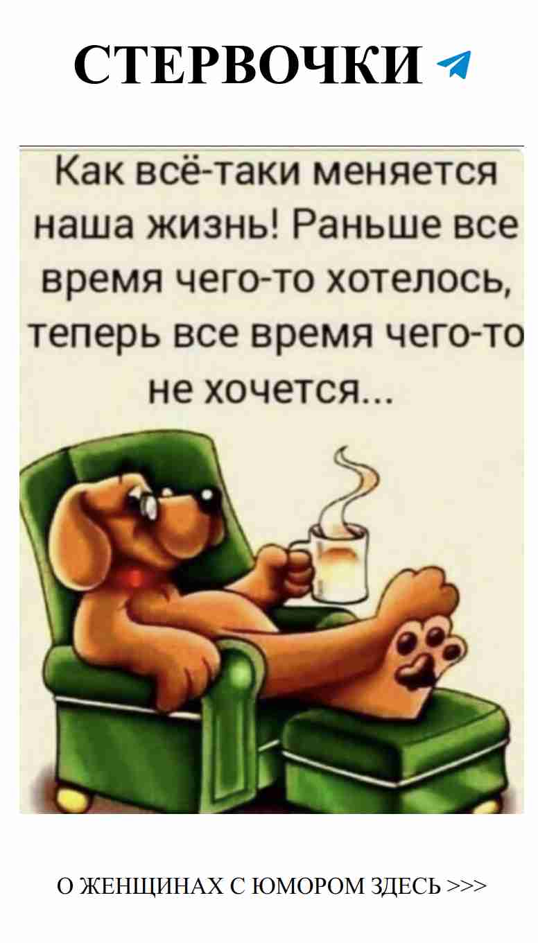 Смешные моменты о любви с милой собакой