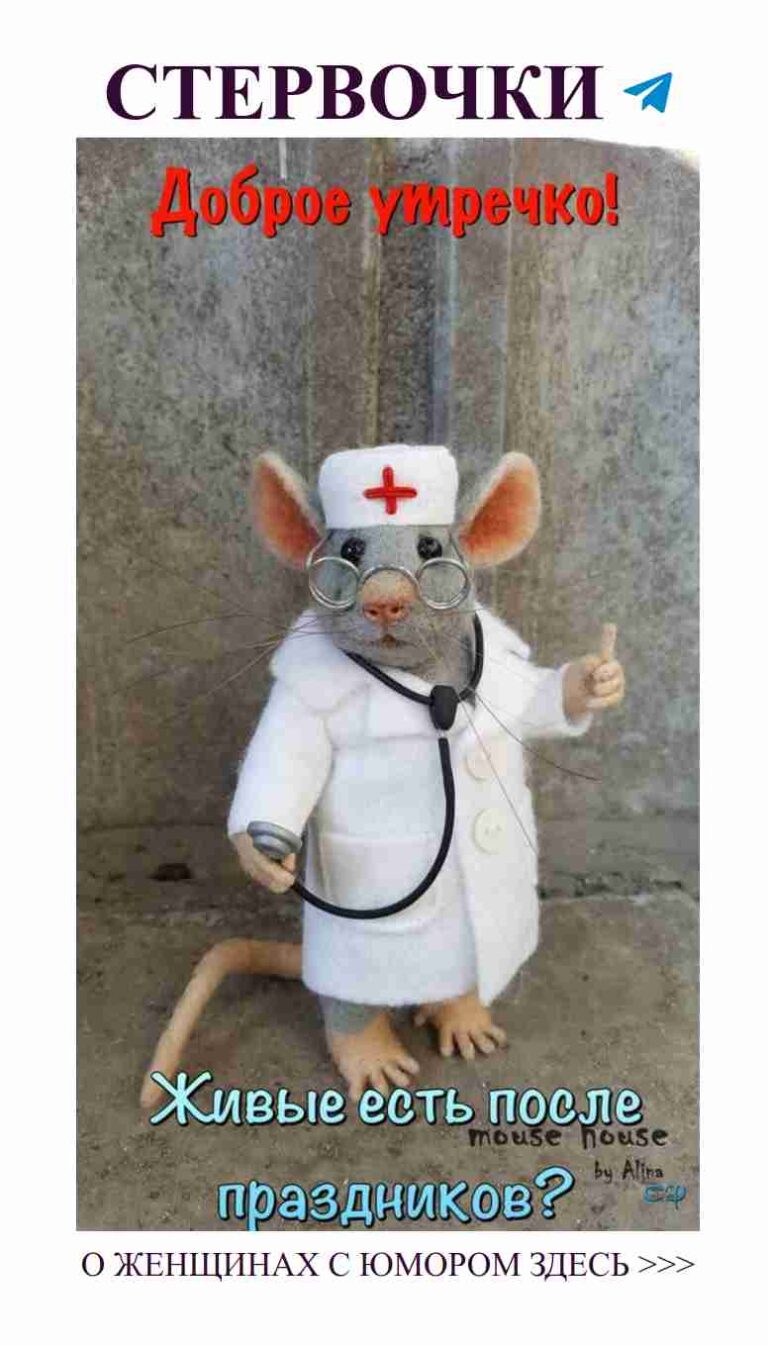 Мышка в костюме врача: с любовью и юмором