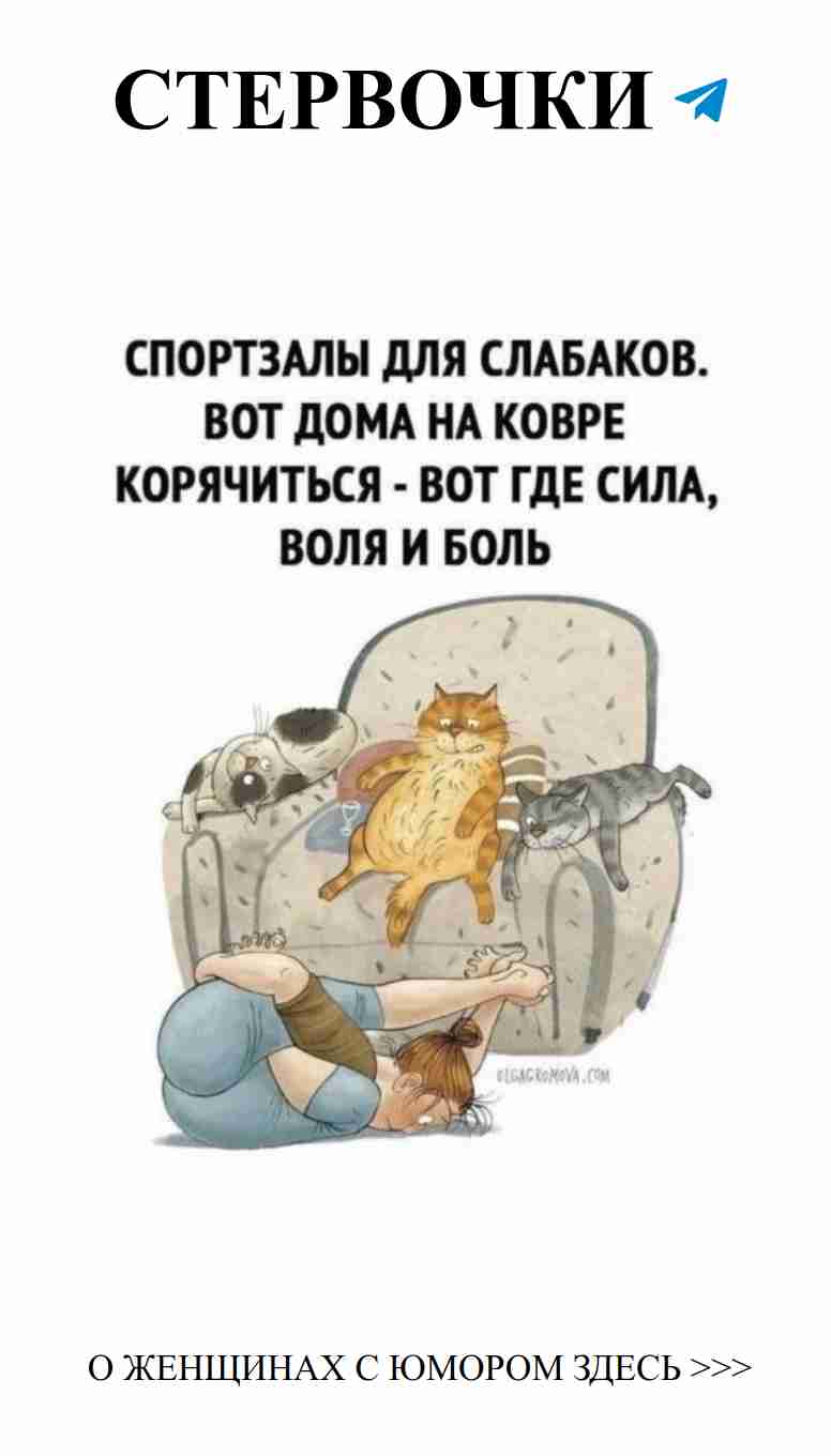 Когда коты рядом любовь и юмор в каждом дне