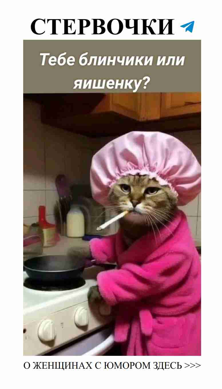 Кот в халате и с зубной щёткой: лучший юмор о любви