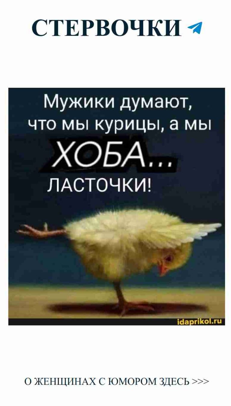 Любовь и смех: курочка для хорошего настроения