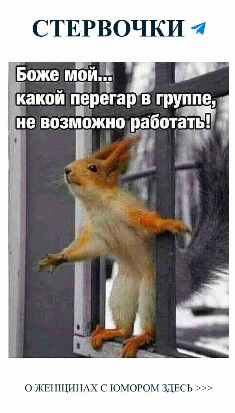 Когда белка стоит, любовь не ждет поздравлений