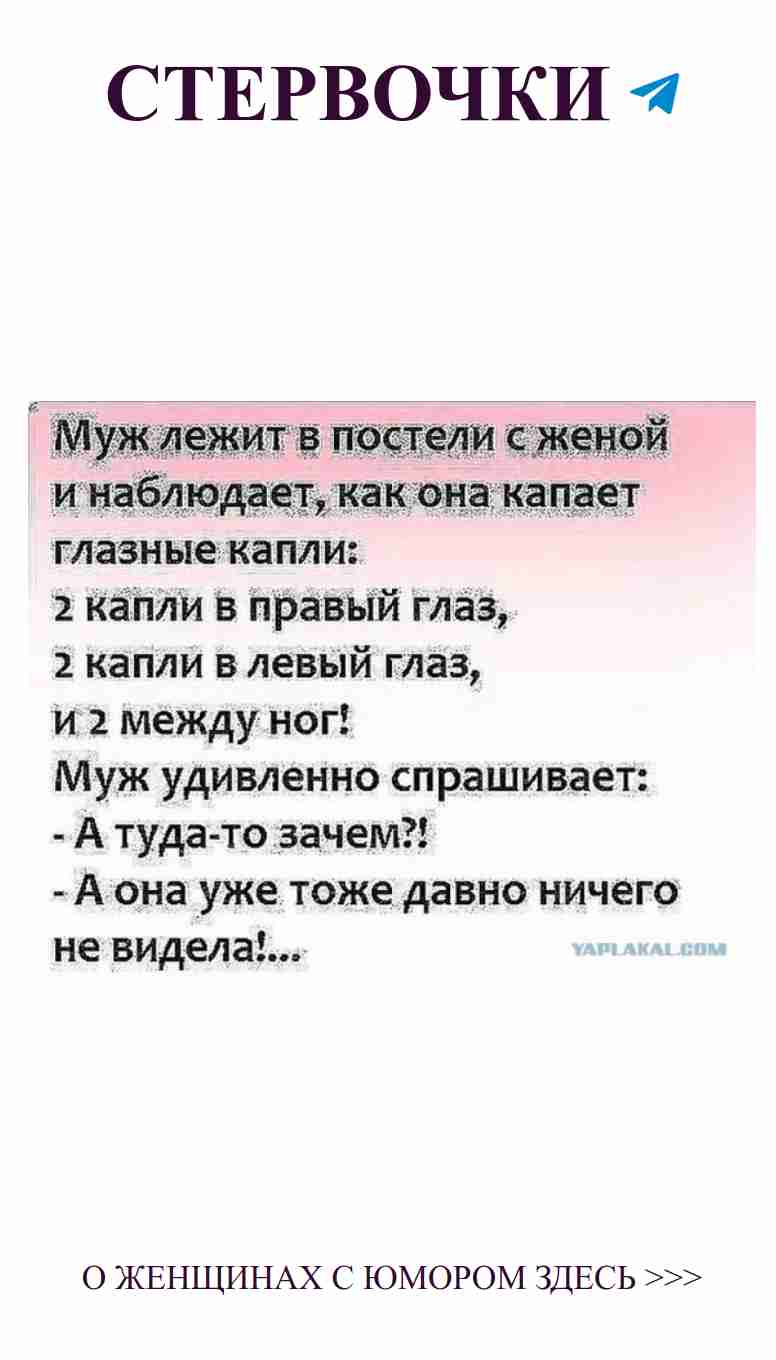 Любовь в картинках: смешные цитаты о жизни и чувствах