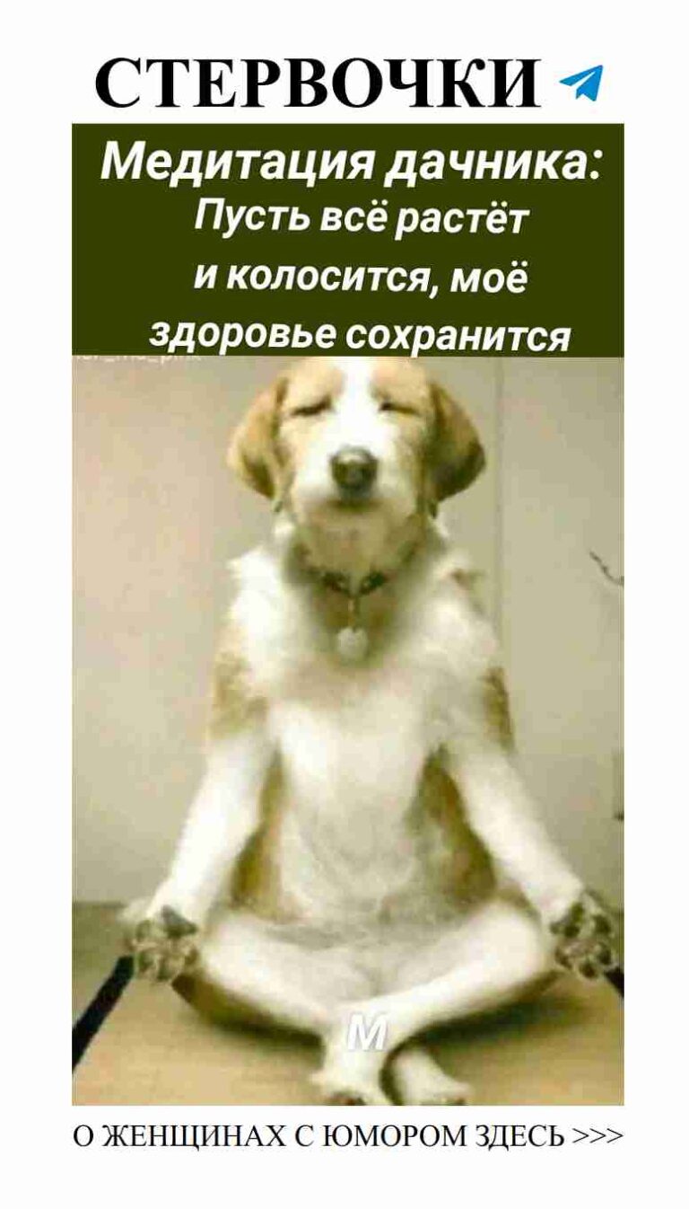 Юмор о любви: как избежать неловких моментов с партнером