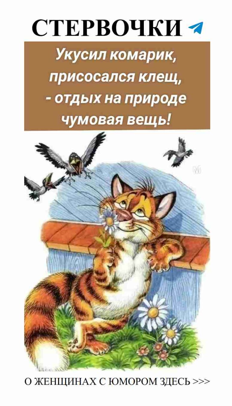 Когда любовь смешивает нас с юмором и счастьем