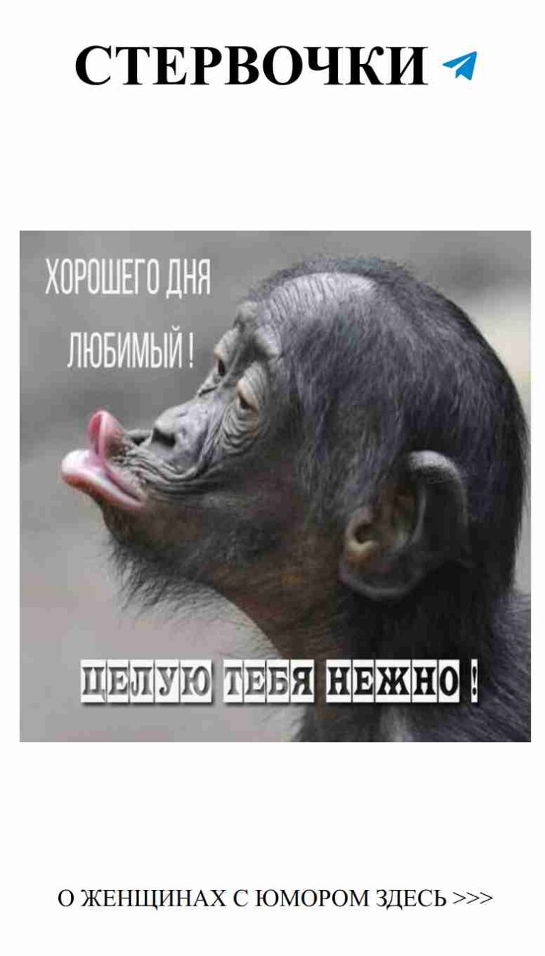 Когда ты нашел татуировку, которая просто ужасна