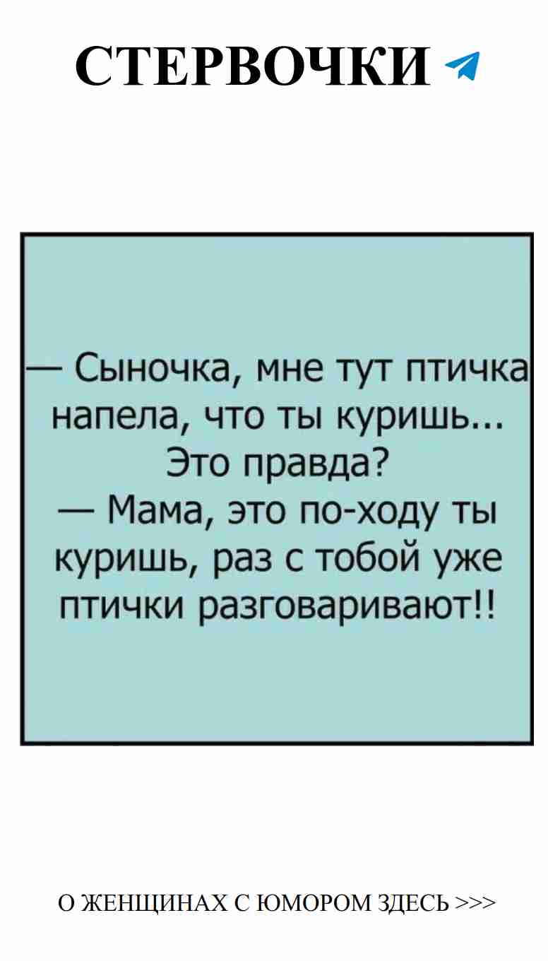 Смешные цитаты о любви и семейном счастье