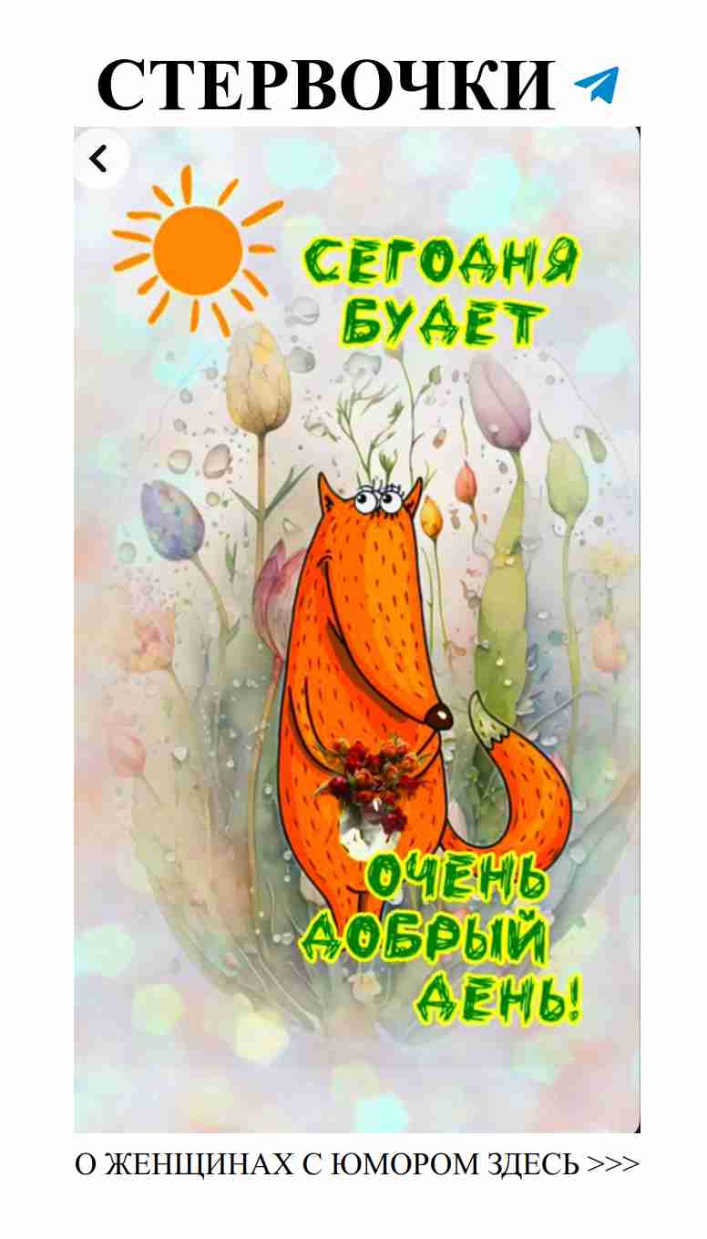 Медвежонок и цветы: любовь с юмором и добротой