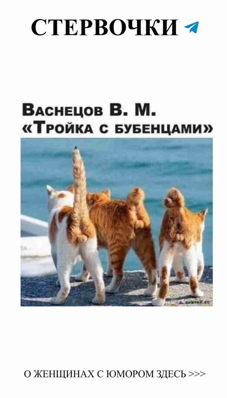 Коты на пляже: милые моменты любви и смеха