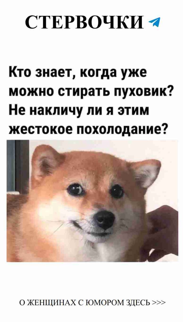 Собака и нежные объятия как доказательство любви