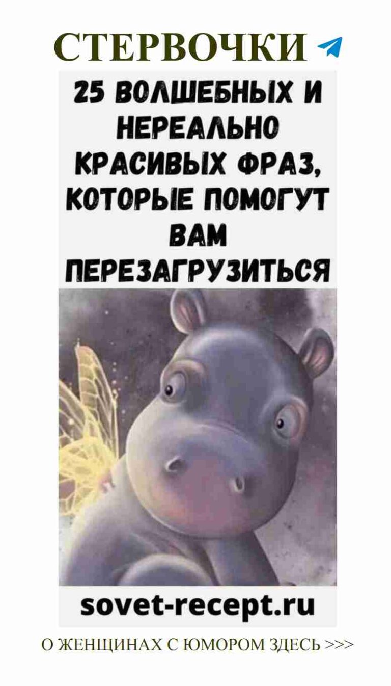 Когда жизнь дает тебе пчел, смейся, как бегемот