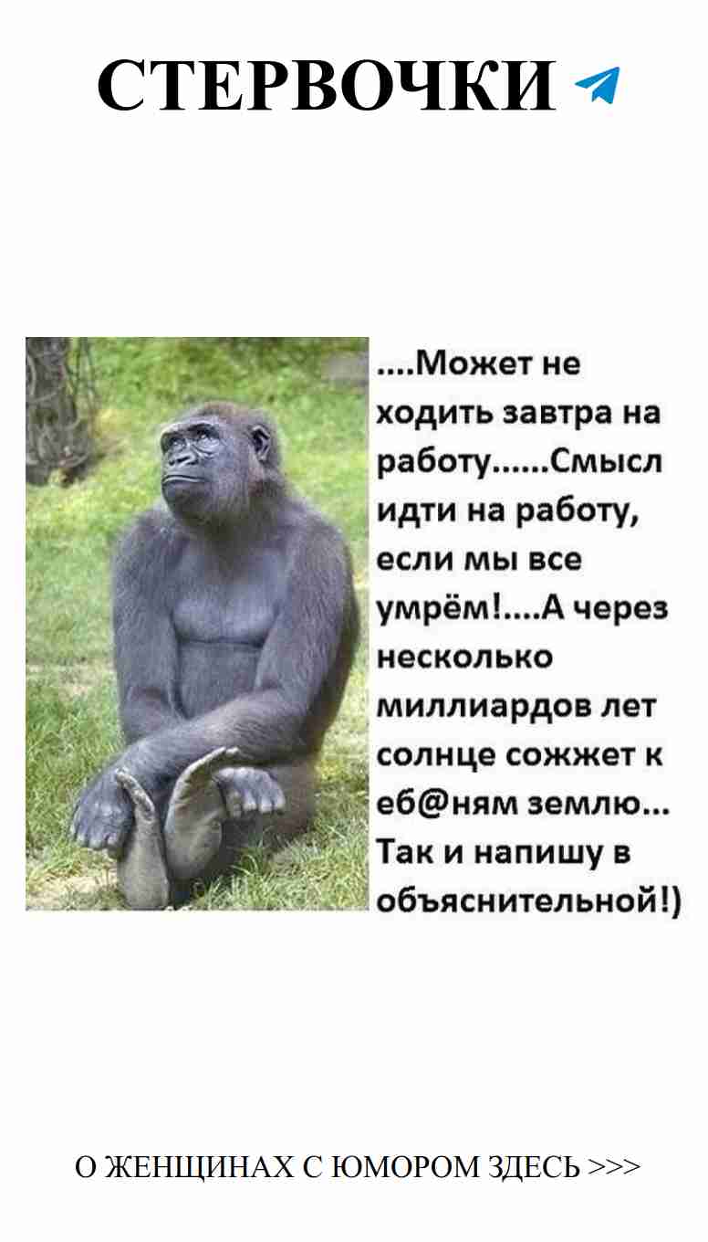 Смешные зверята: как любить и смеяться вместе