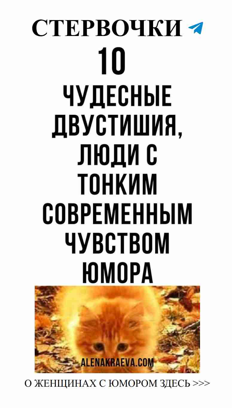 Котенок на листьях: как любовь может быть смешной