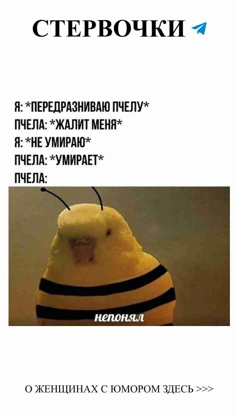 Желтая птица с черными полосками о любви и юморе