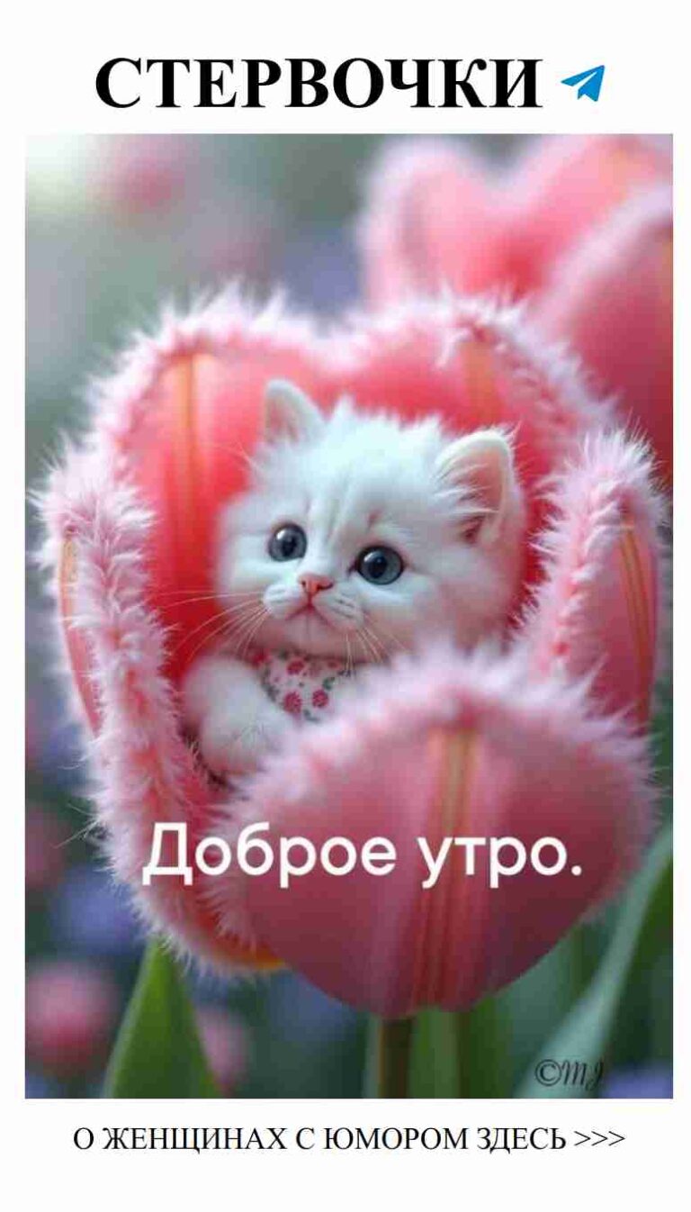 Маленький котенок в цветах любви для твоего телефона