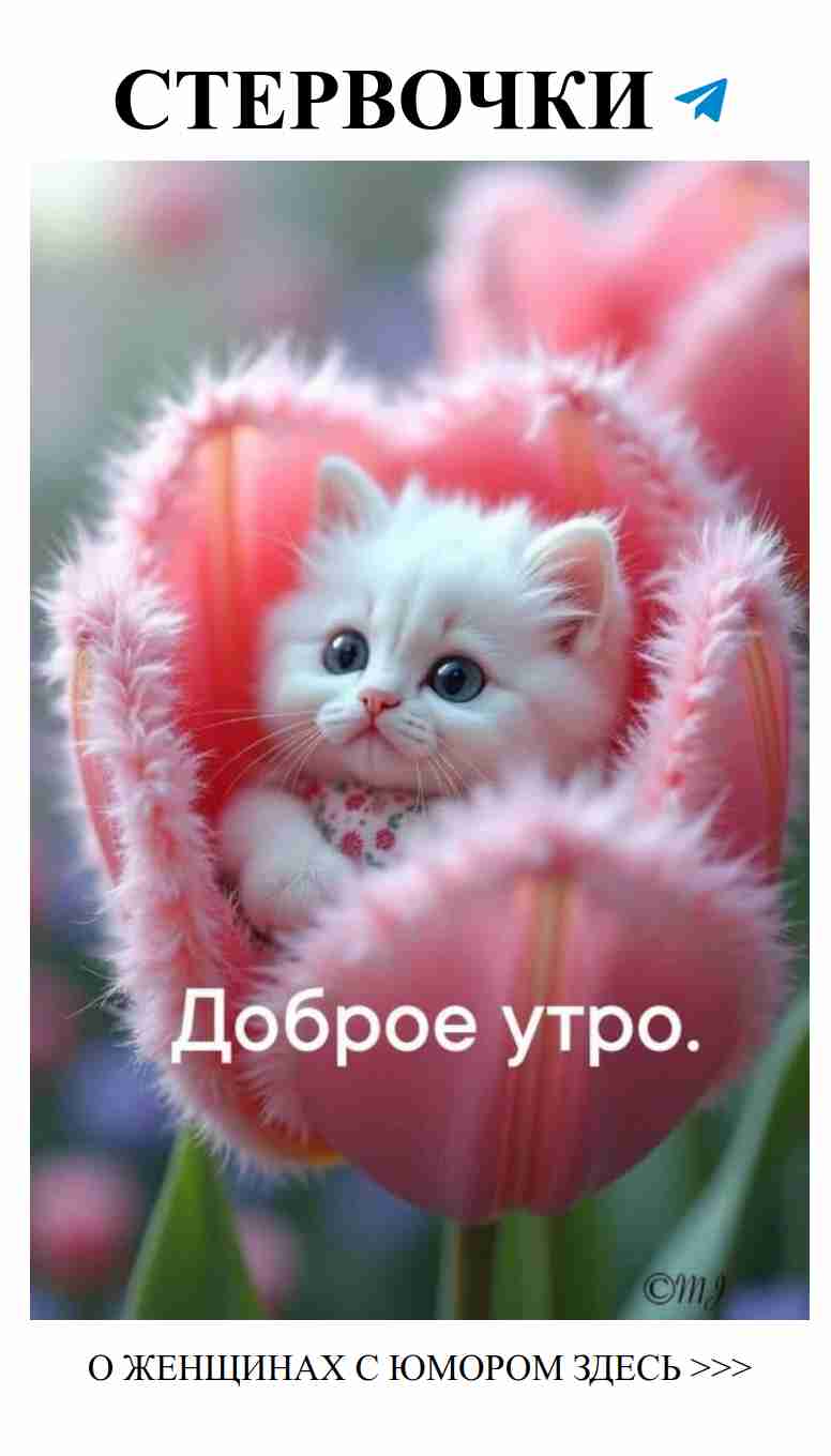 Маленький котенок в цветах любви для твоего телефона